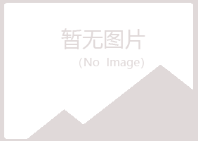 兰山区雁卉服务有限公司